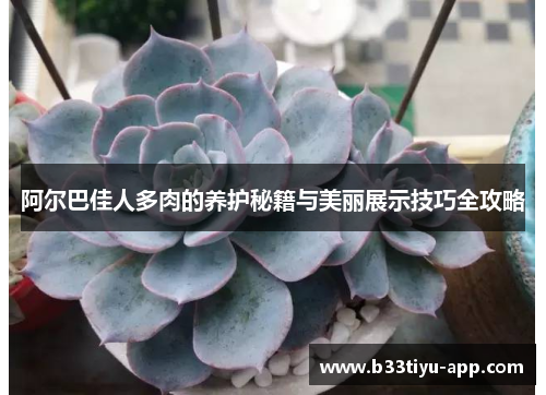 阿尔巴佳人多肉的养护秘籍与美丽展示技巧全攻略